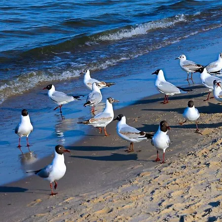 펜션 Happiness Comfortable 치노비츠