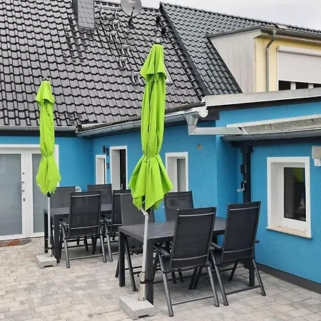 Happiness Comfortable 치노비츠