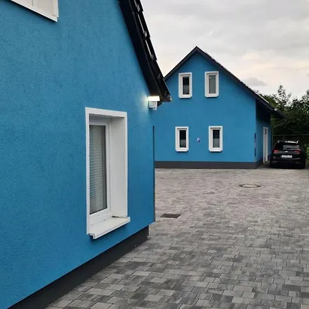 Happiness Comfortable * 치노비츠