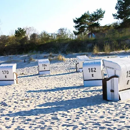 Happiness Comfortable *